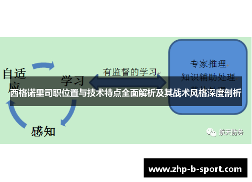 西格诺里司职位置与技术特点全面解析及其战术风格深度剖析